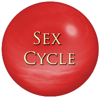 Image of Sex Cycle